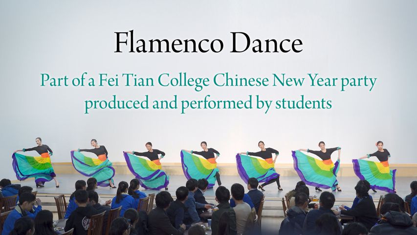 Vũ điệu Flamenco