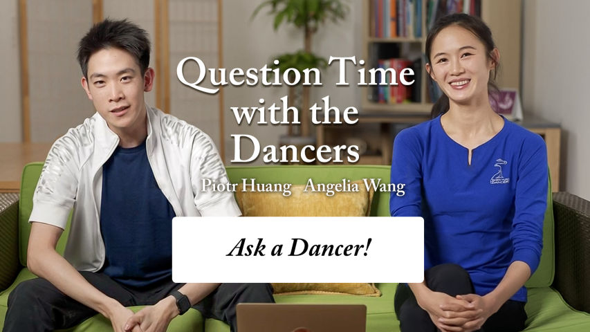 Interviews & Profiles