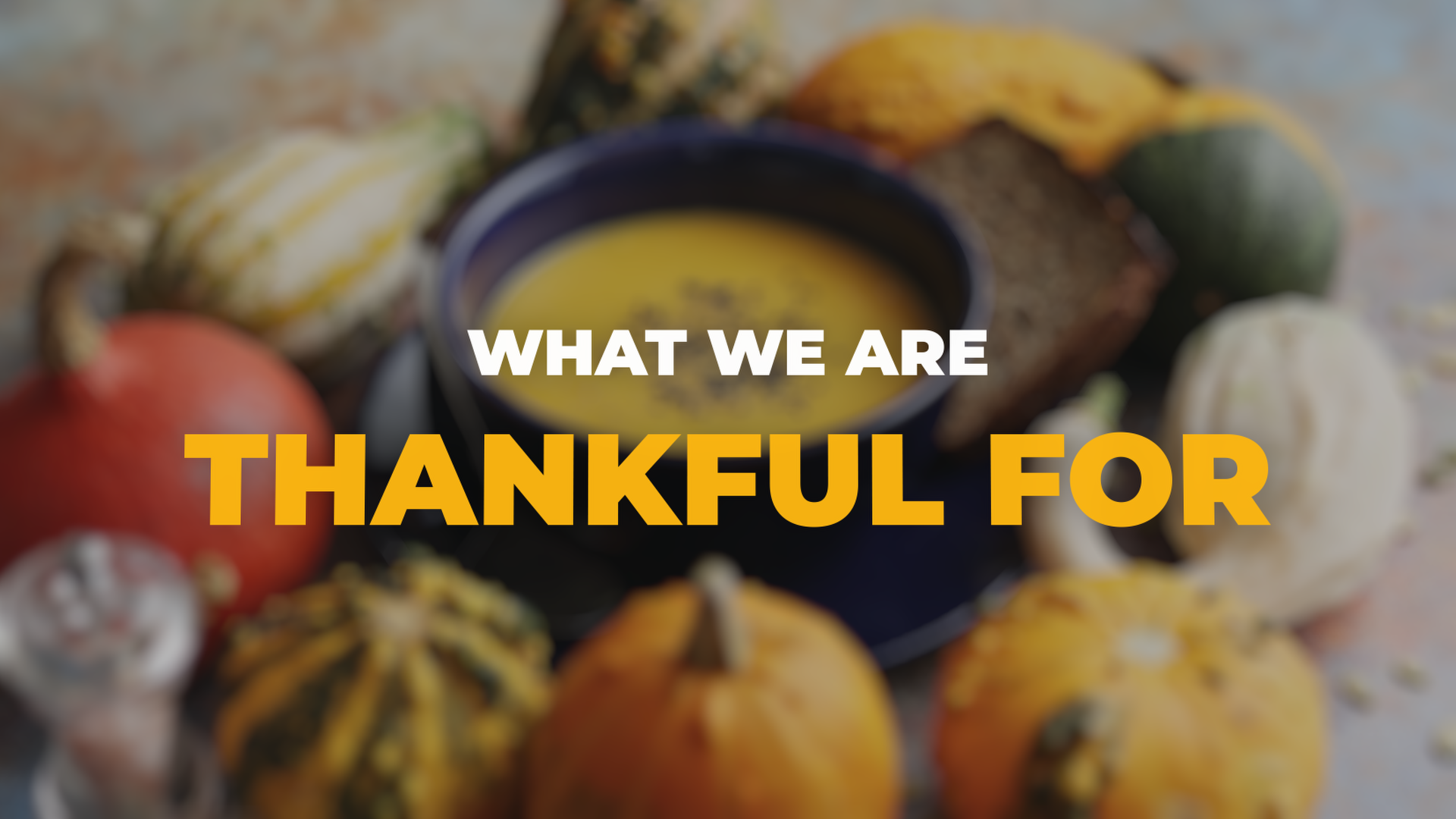 What We're Grateful For This Thanksgiving 